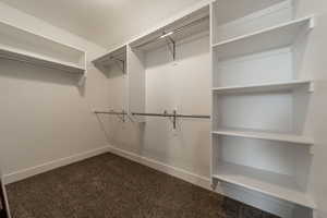 Spacious closet featuring carpet flooring