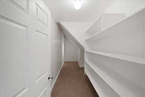 Large walk in storage closet