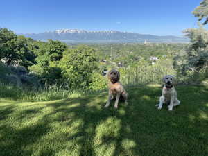 View of the Wellsville Mountains