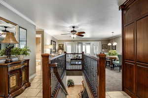 Photo 6 of 255 N PIN OAK CIR