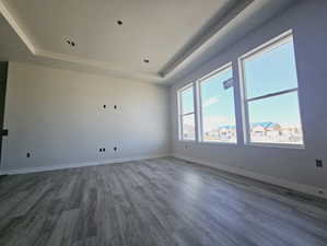 Unfurnished room with a raised ceiling, a textured ceiling, and wood-type flooring