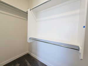 Spacious closet featuring carpet floors