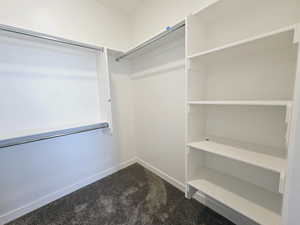 Walk in closet with carpet floors