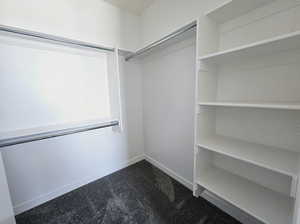 Spacious closet featuring carpet