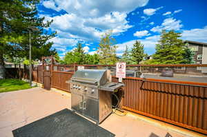 View of patio / terrace with grilling area