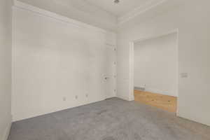 Carpeted empty room featuring a raised ceiling, visible vents, and baseboards