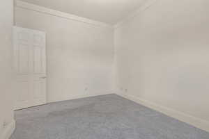 Carpeted spare room featuring crown molding and baseboards