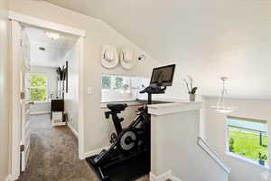 Exercise room featuring a wealth of natural light, carpet floors, and lofted ceiling