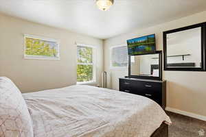 Bedroom featuring carpet flooring and a textured ceiling