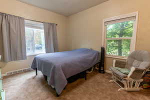 Carpeted bedroom featuring multiple windows