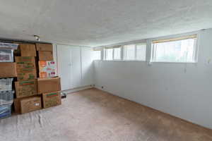 Basement with a textured ceiling, a healthy amount of sunlight, and light carpet