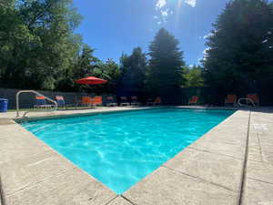 View of swimming pool featuring a patio area