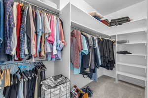 Spacious closet featuring carpet floors