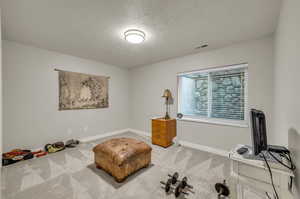 Sitting room featuring a textured ceiling and light colored carpet