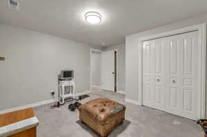 Sitting room with a textured ceiling and carpet floors