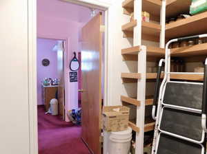 storage room looking into master bedroom