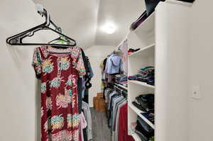 Spacious closet with lofted ceiling and hardwood / wood-style floors