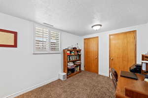 Carpeted home office with a textured ceiling