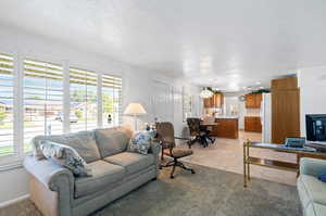 Carpeted living room with a textured ceiling