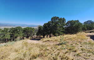 Beautiful Property Views - Large Trees & Seclusion!