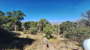 Beautiful Property Views - Large Trees & Seclusion!