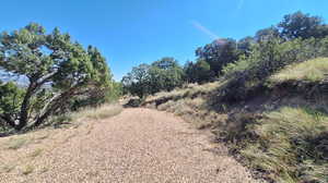 Gravel Driveway Entrance