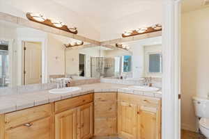 Bathroom featuring an enclosed shower, lofted ceiling, toilet, and vanity