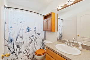 Bathroom featuring vanity, toilet, and walk in shower