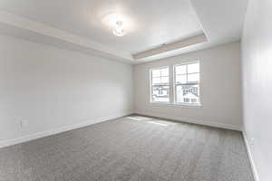 Carpeted empty room with a textured ceiling, visible vents, a raised ceiling, and baseboards