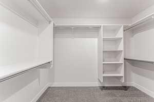 Walk in closet featuring carpet floors