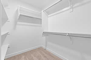 Spacious closet featuring carpet