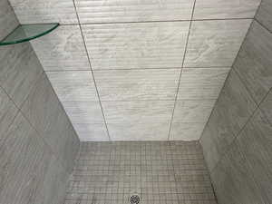 Interior details featuring tiled shower