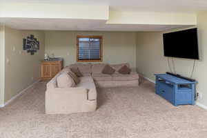 Living room featuring carpet and a textured ceiling