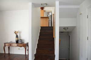 Stairs with hardwood / wood-style flooring