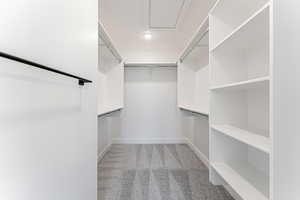 Walk in closet with carpet