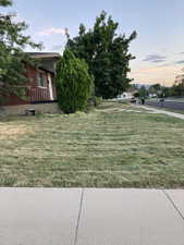 View of yard at dusk