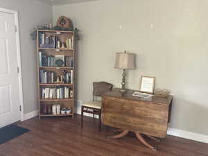 Office with dark wood-type flooring