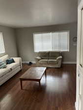 Living room featuring dark hardwood / wood-style flooring