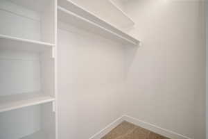 Spacious closet featuring carpet floors