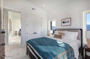 Bedroom featuring multiple windows, a closet, and light carpet