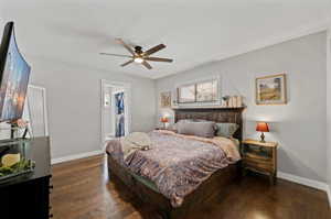 Bedroom featuring dark hardwood / wood-style floors, a walk in closet, ceiling fan, and a closet