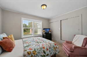 Bedroom with crown molding and carpet flooring