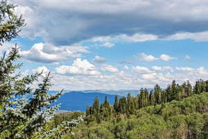 Property view of mountains