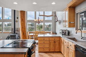 Kitchen featuring range, dishwasher, a wood stove, sink, and a healthy amount of sunlight