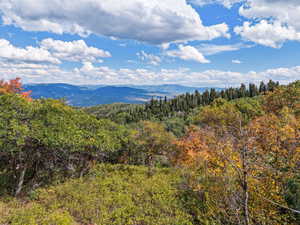 View of mountain feature