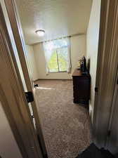 Interior space with a textured ceiling and carpet flooring