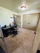 Carpeted office space with a textured ceiling