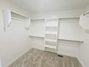 Walk in closet with light colored carpet