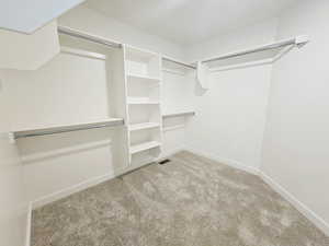 Walk in closet featuring light colored carpet