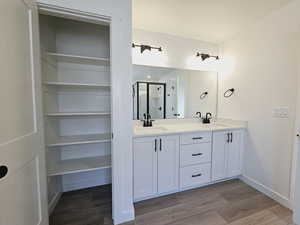 Bathroom with vanity, hardwood / wood-style flooring, and a shower with shower door